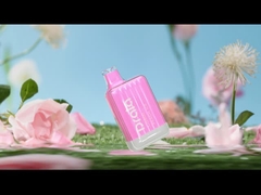 Drala 600 / 800 Puffs Disposable Vape Pens Fruit Flavor E Cigarette Vape